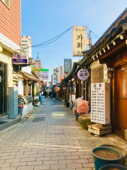 【徳島】後藤田知事、北海道へ修学旅行「クマ出たら終わり🐻」町村長に韓国含む海外を推奨
