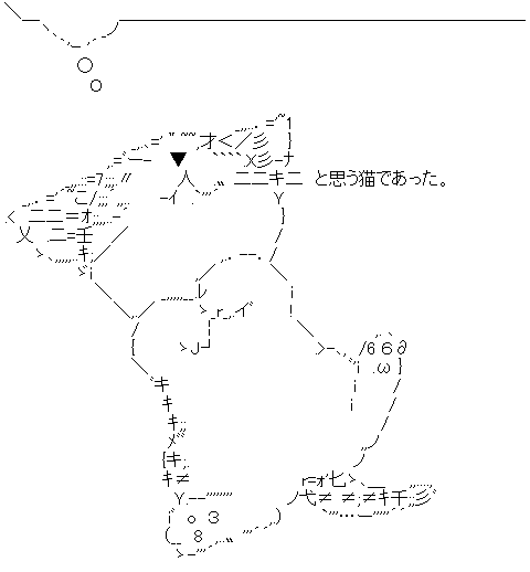 AA_142179048081829400