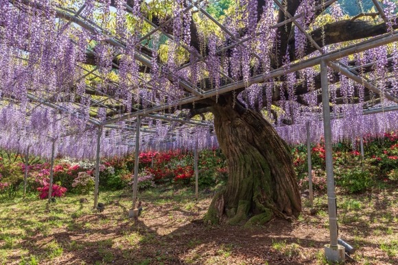 栃木県「人いません、仕事ありません、観光地ありません、美味しいものありません」