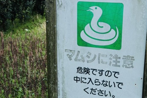 マムシに注意看板