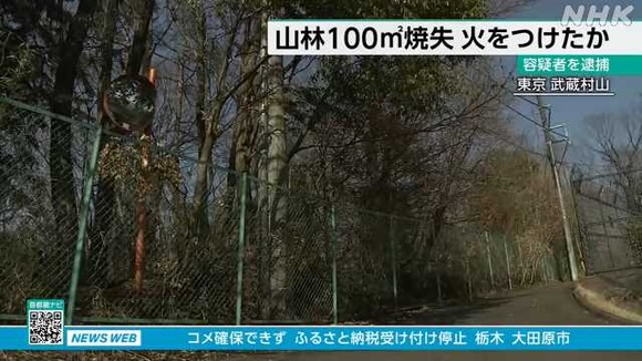1000115261_20250314191940_m
