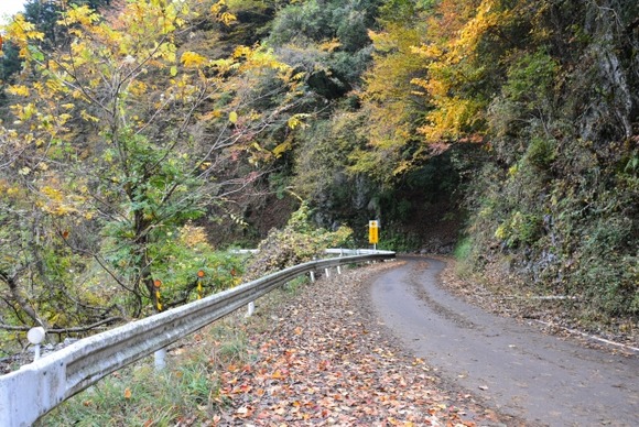 登山口までの道で前の車に追い付いた時、いつも車間距離開けてんのに譲られるんだけどなんなんだろう