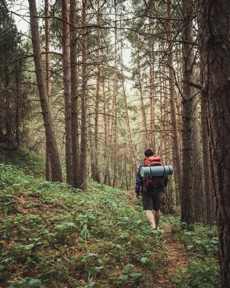 hiker