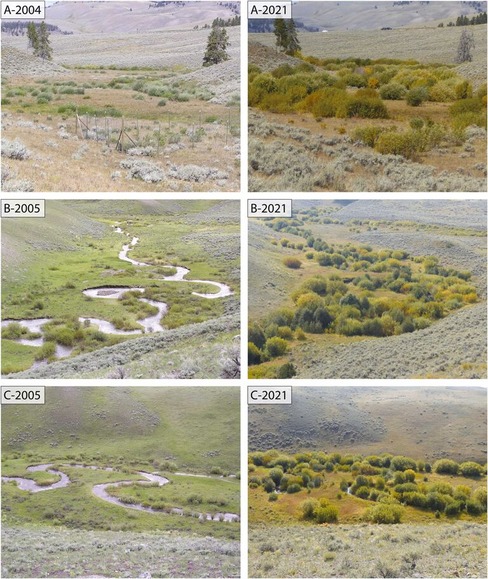 1-s2.0-S2351989425000290-gr1_lrg