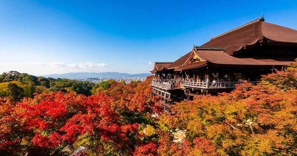 1泊5000円台！「中国人観光客激減に日本人歓喜」