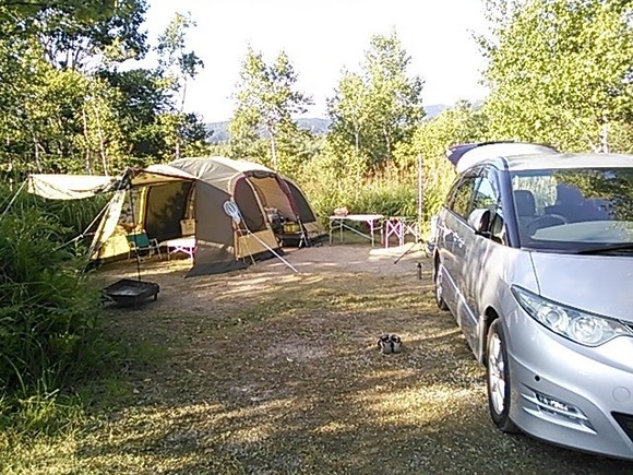 キャンプ場の倒木死亡事故、テントがあった場所はキャンプ場から指定された区画内だった…賠償金待ったなしか