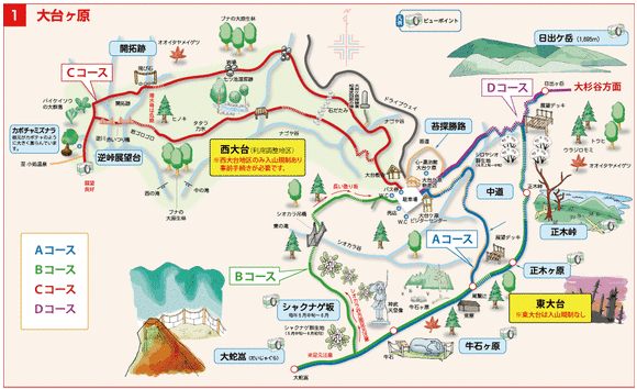 大台ケ原ハイキングコース