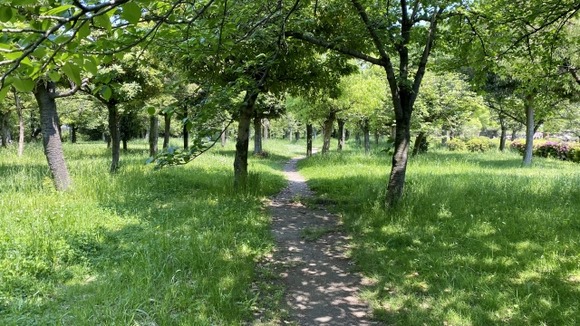【画像】山道を歩いてるんやが