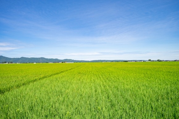 農薬散布のアルバイトに誘われた