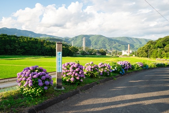 田舎エアプ「なんかいい感じにノスタルジー感じるイラスト見た！田舎に住みたい！」ガチカッペ俺「やめとけ。後悔するぞ」