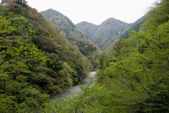 Kurokura_River_05