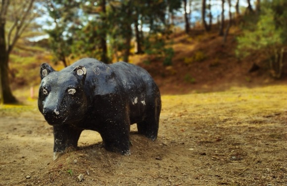 なんでクマと共存しないといかんのだ