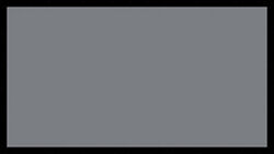 16918gray