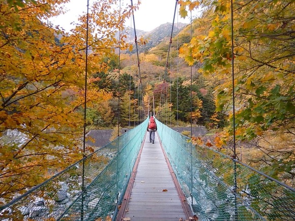 【画像】久々に山登ってきた