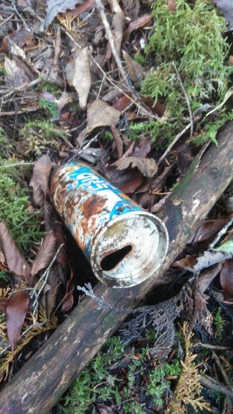 56