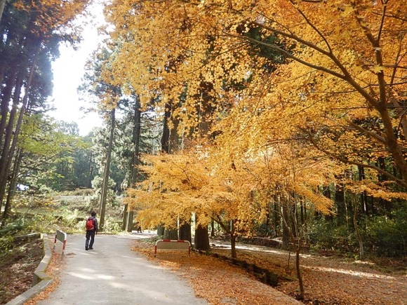 【標高500m以下】超低山の魅力は？