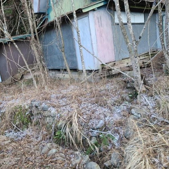 【画像】廃墟あった！家というか小屋?