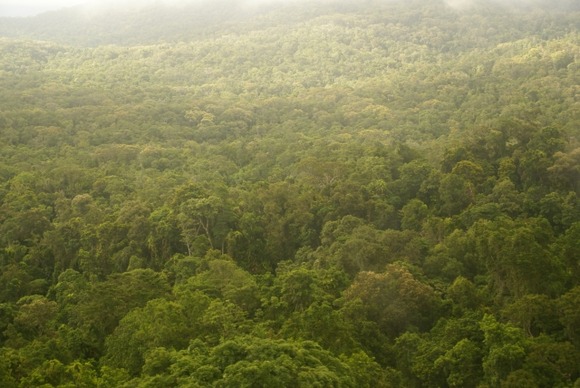 【画像】希少な大型クモ発見される…こんなん叫ぶわ