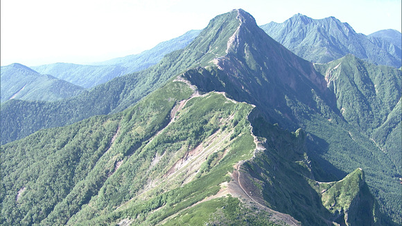 c_image1