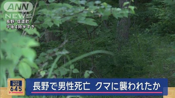 【長野：信濃町】顔や背中に爪痕…男性死亡　クマに襲われたか