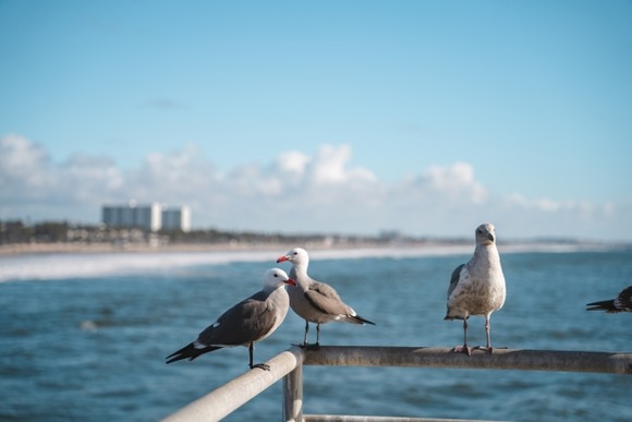 日本で一番美味いお土産のお菓子が