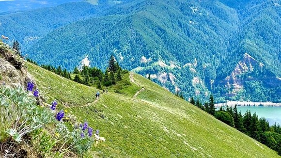 hiker