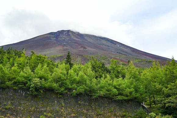 「南海トラフ大地震」vs「富士山大噴火」