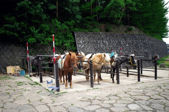 富士吉田市長「富士山登山道規制は５合目か６合目で実施して」