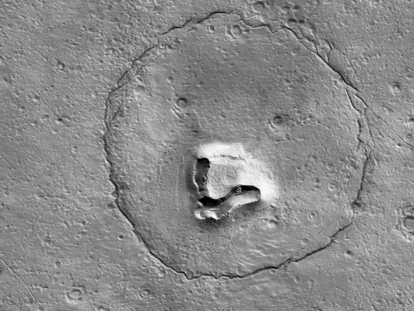 【画像】火星にクマがいた?!