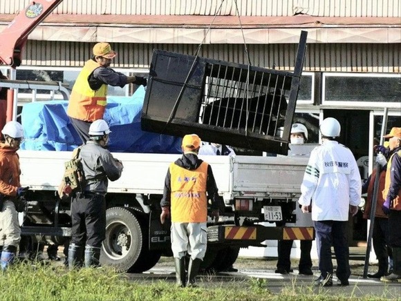 【秋田】クマ駆除に慰労金、日当のほかに1頭5000円支給へ