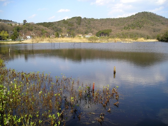 Midorogaoke1_Kyoto,JAPAN