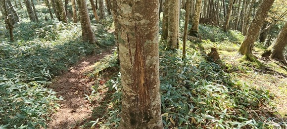 【画像】ぷゆは登山してるよ！
