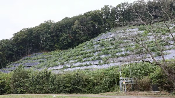 「草ぼうぼうの太陽光パネル」各地に出現…太陽光発電設備の周辺の下草に引火した事例も