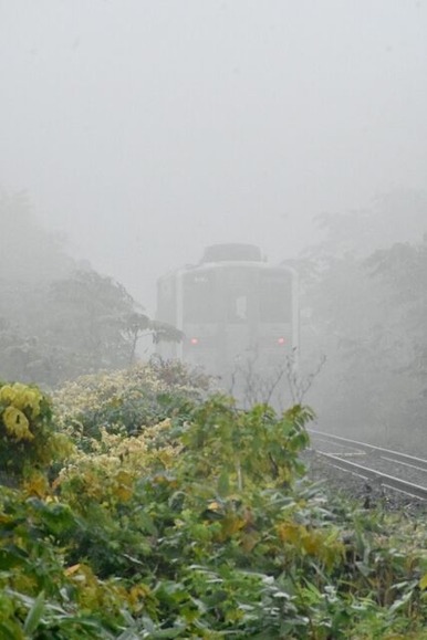 【悲報】列車がクマと接触…乗客一人と運転士を乗せたまま13時間立ち往生
