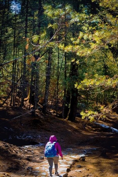 hiker