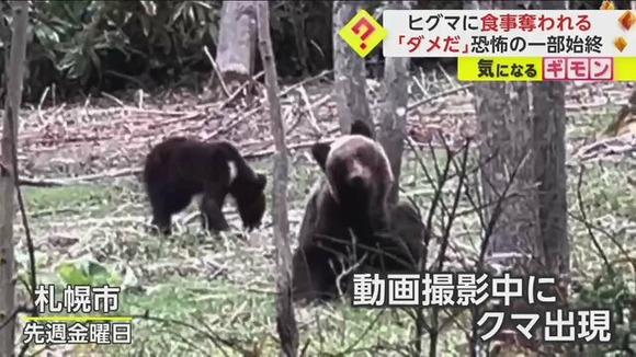【恐怖】「ダメだクマだ」動画撮影中“ヒグマ4頭”に遭遇