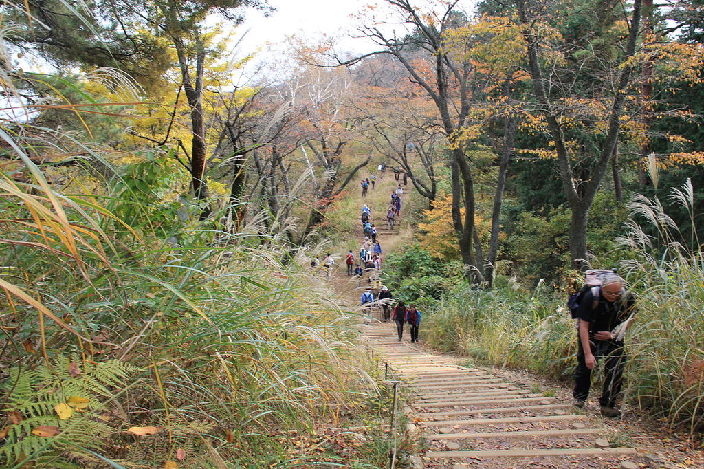 登山道