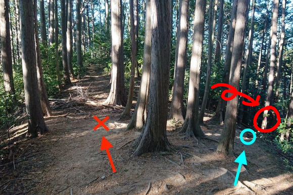 ucuRxrZ