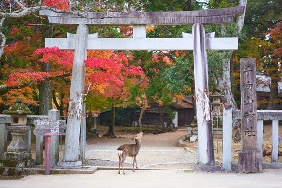 【悲報】全国旅行支援で人気のない都道府県が判明してしまう