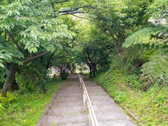 【画像】離島俺、いまから散歩実況を始める