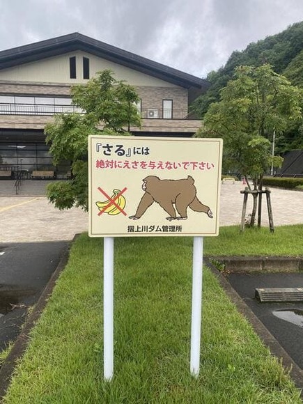 720