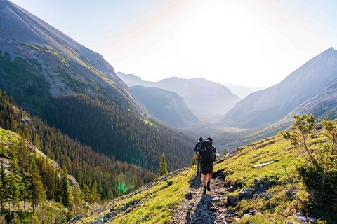 hiker