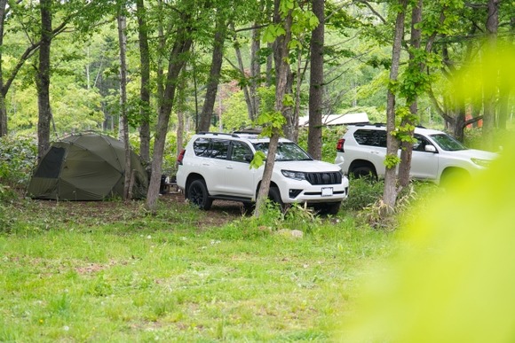 結局、SUVが流行ってるのって車格の割に強そうに見えるからだよな