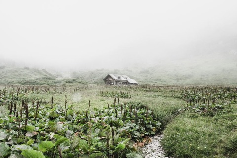 避難小屋