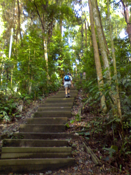 Bukit_timah_hill