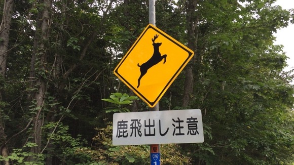 【悲報】ワイ猟銃所持者、山上・木村がニュースに出るたびイジられる