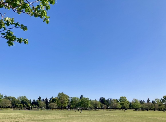 【画像】公園でお弁当食うわｗｗｗｗｗｗｗｗｗｗ