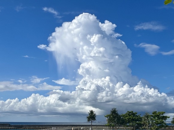 【画像】雪積もったから夏の写真あげてやる