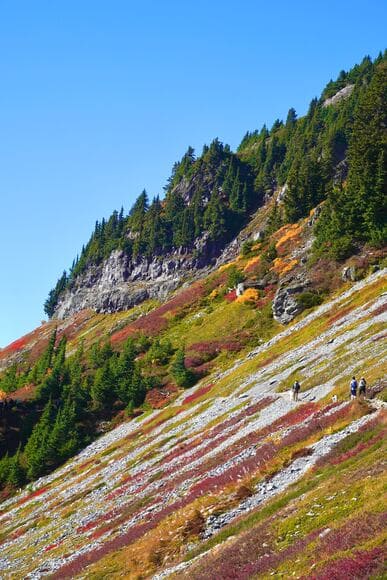 今30代以下の世代は「山と高原地図」がどれだけ登山者の間で聖書だったか実感わかないだろうな