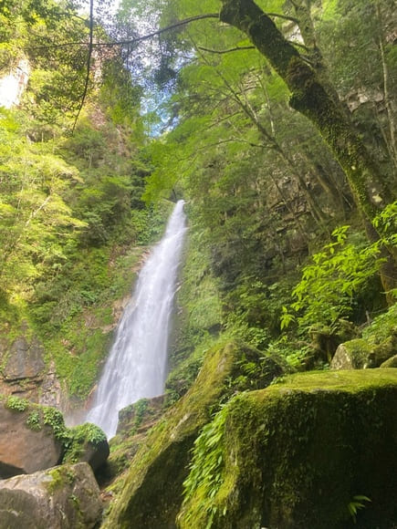 【画像】東京から奈良の山奥へ移住したんだが・・・